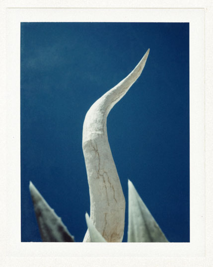 Bullhorn_sculpture_polaroid_