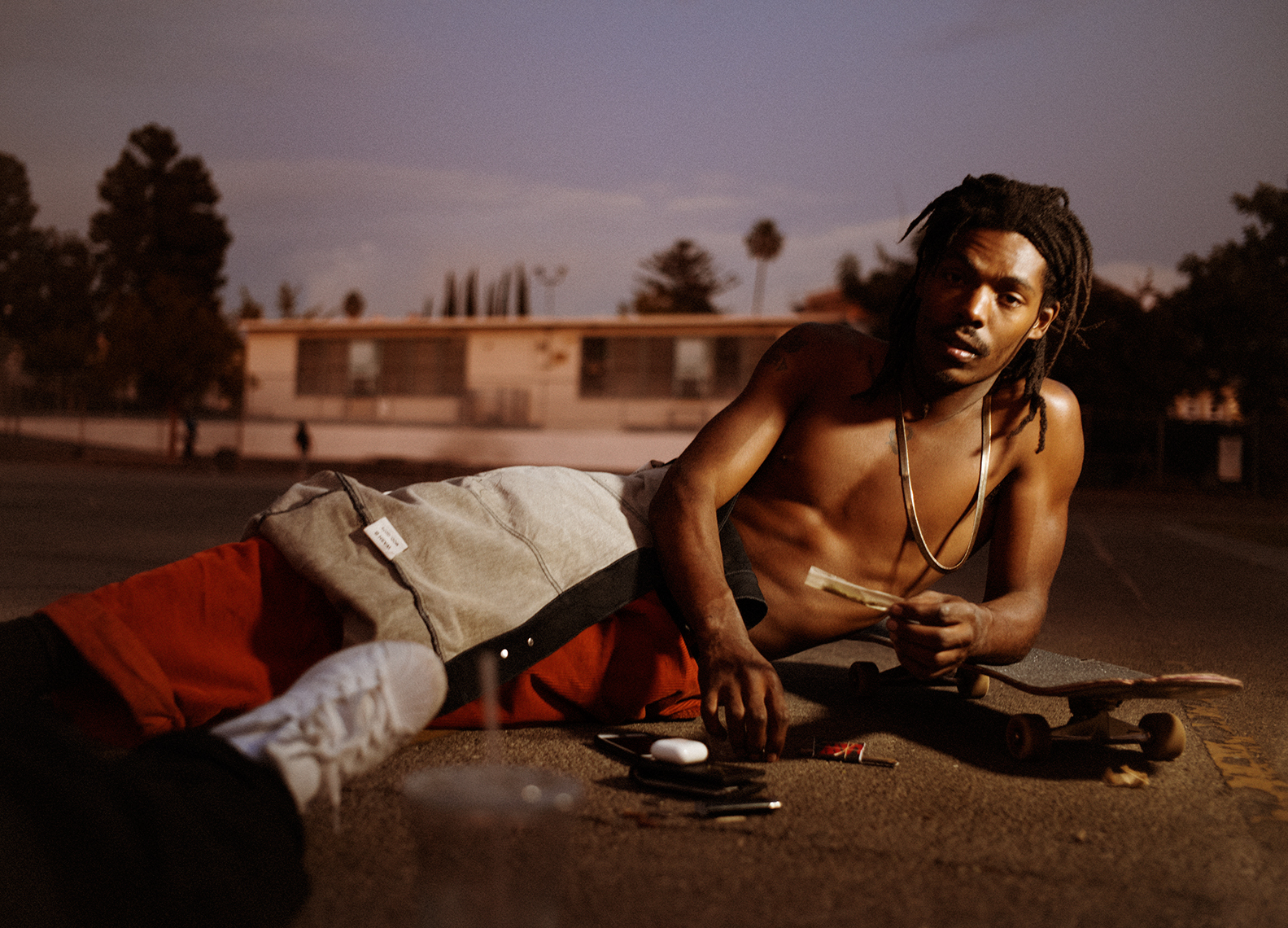 drake_johnson_roll_up_gardner