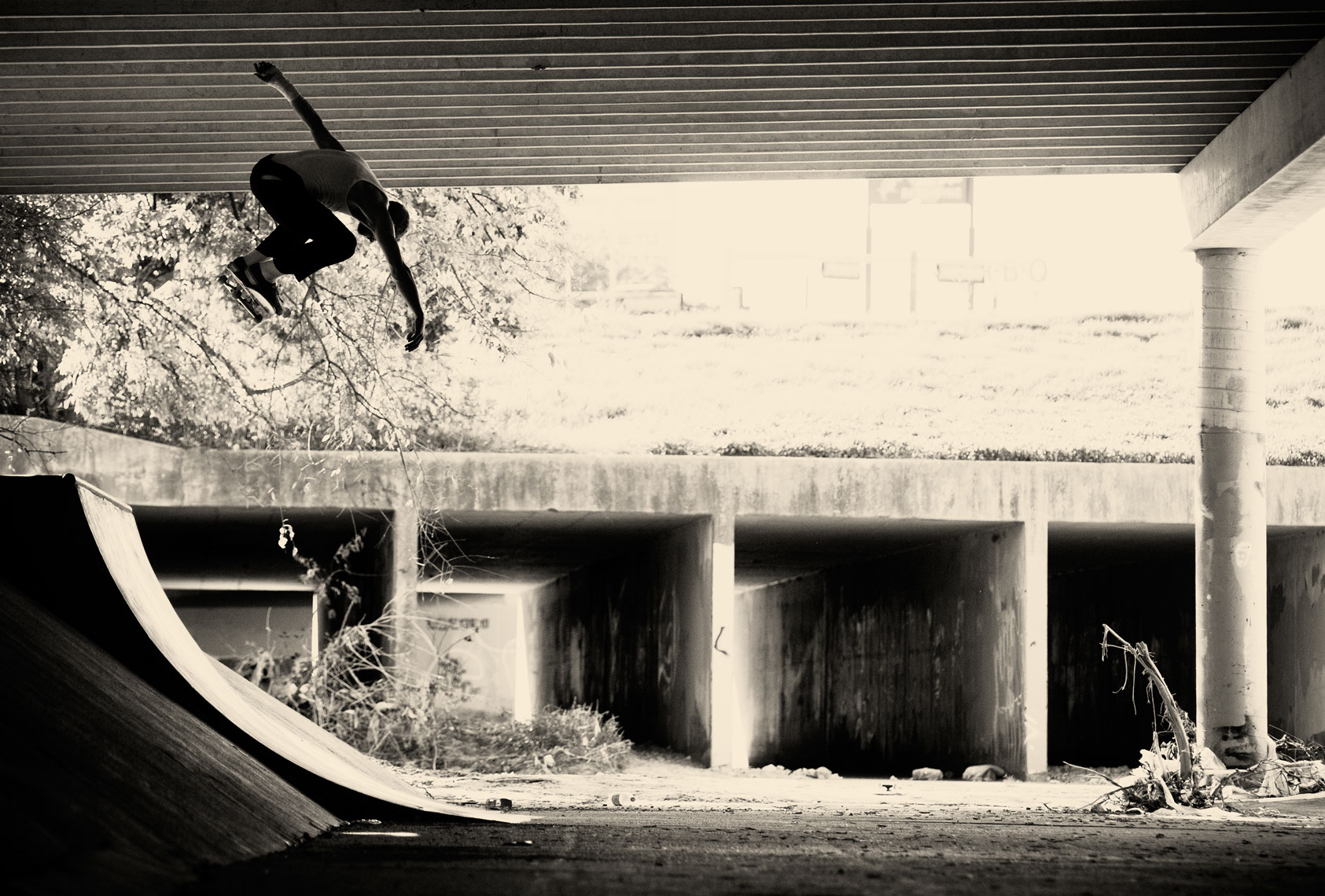 jason_dill_bs_ollie