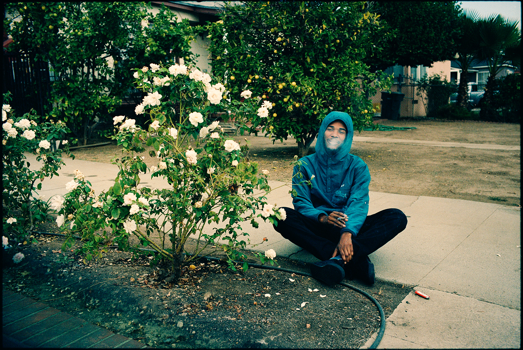 kevin_white_smoking_bush_3_F_web